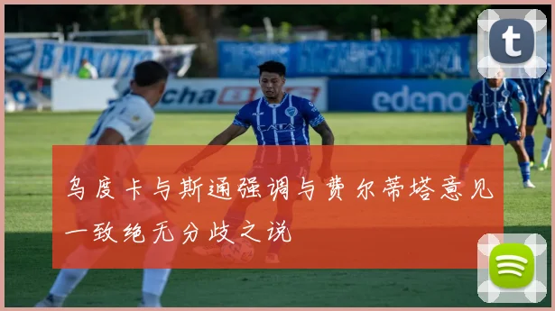 乌度卡与斯通强调与费尔蒂塔意见一致绝无分歧之说